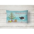 thumbnail image 2 of Carolines Treasures BB9291PW1216 Common Ostrich Christmas Canvas Fabric Decorative Pillow, Teal, 12H x16W, multicolor, 2 of 3