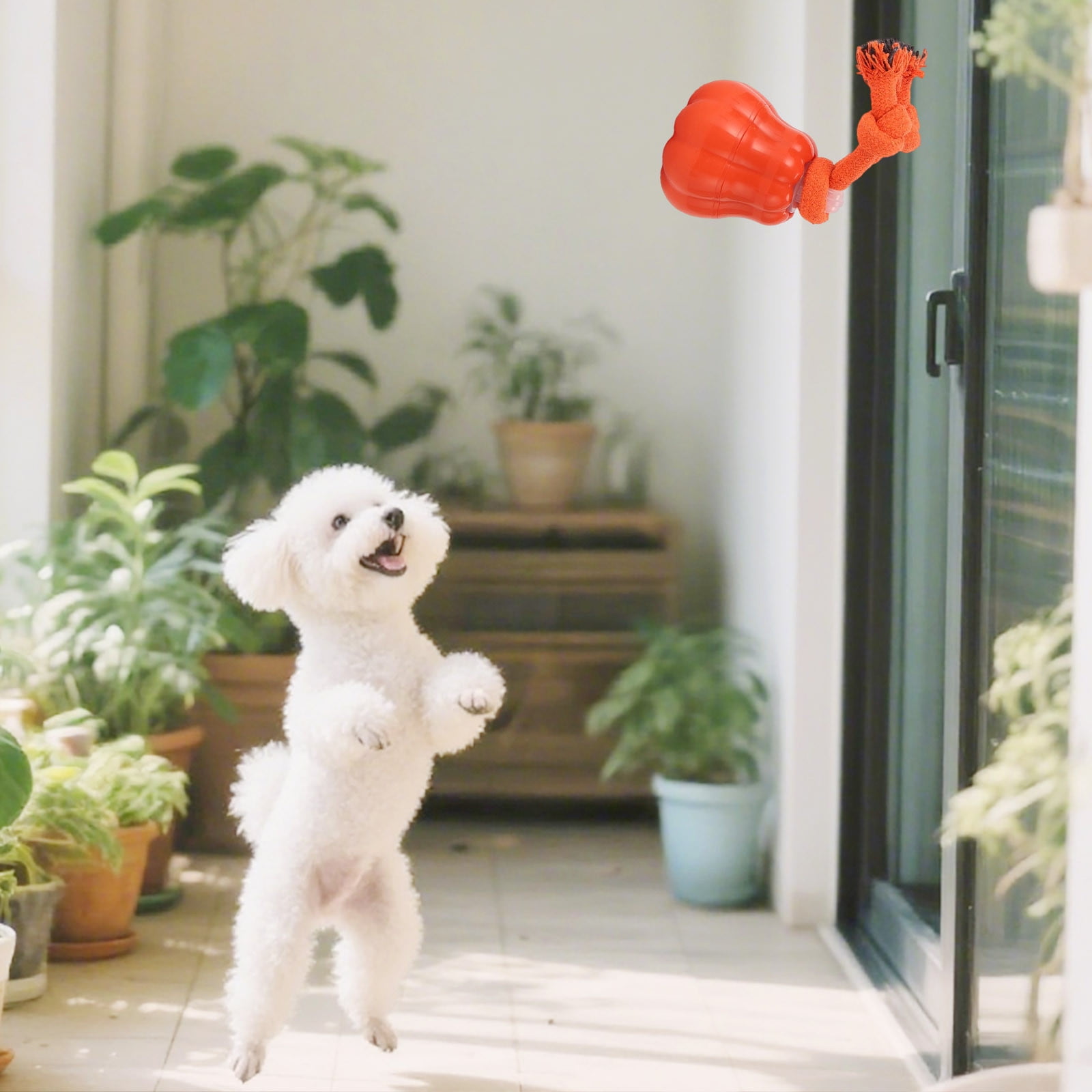 Interactive LED Pet Toy Rechargeable Motion Activated Rolling For Dogs And Cats Indoor Companion