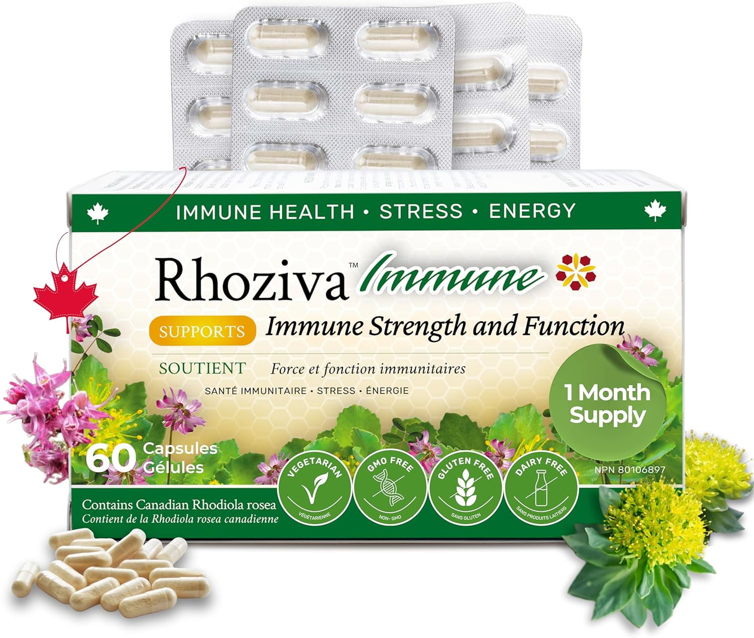 Rhoziva Rhoziva Immune. Immune System Booster Supplement, Stress & Energy Support. Rhodiola Rosea, Reishi Mushroom Extract, Astragalus, Prunella + Vitamins & Minerals. Made in Canada. 60 Vegetarian Capsules.