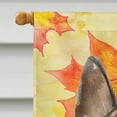 thumbnail image 3 of Carolines Treasures BB9523CHF Berger Allemand Drapeau d'Automne Maison en Toile, 3 of 4