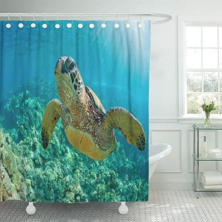 ARTJIA Green Maui Sea Turtle Close Up Over Coral Reef in Hawaii Snorkel Swim Underwater Environment Dive Shower Curtain 60x72
