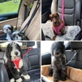 thumbnail image 6 of BYXAS Dog Seat Belt, Heavy‑Duty Nylon Pet Car Safety Vest Harness with Adjustable Buckle, Vehicle Travel Safety Seat Belt for Dogs, Purple, 6 of 8