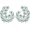 Feathergreen, variant on Large Round CZ Stud Earrings for Women S925 Sterling Cubic Zirconia Rhinestone Statement earrings for Wedding Party Prom Gala