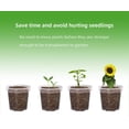 thumbnail image 2 of RUseeN Clear Nursery Pots for Plants, 3 Inch Plant Pot for Planting Plastic Seedling with Drainage Holes Seed Starter Flower High Transparency Excellent Hardness(30 Pack), 2 of 7