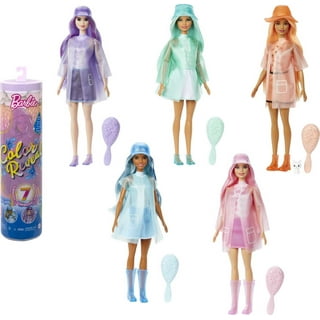 Barbie Color Reveal Doll & Accessories, Shimmer Series, 7 Surprises, 1  Barbie Doll (Styles May Vary)