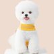 thumbnail image 3 of Dog Harness Backpack Dog Backpack Harness with Leash Cat Harness Puppy Harness Dog Vest Harness and Leash Dog Vest Bag X, 3 of 5