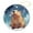 pattern-6, variant on Capybara Snowing Winter Ornament Capybara Gifts Keepsake Ceramic Ornament Keepsake Funny Christmas Hanging Tree Decor Ornament Xmas Gift