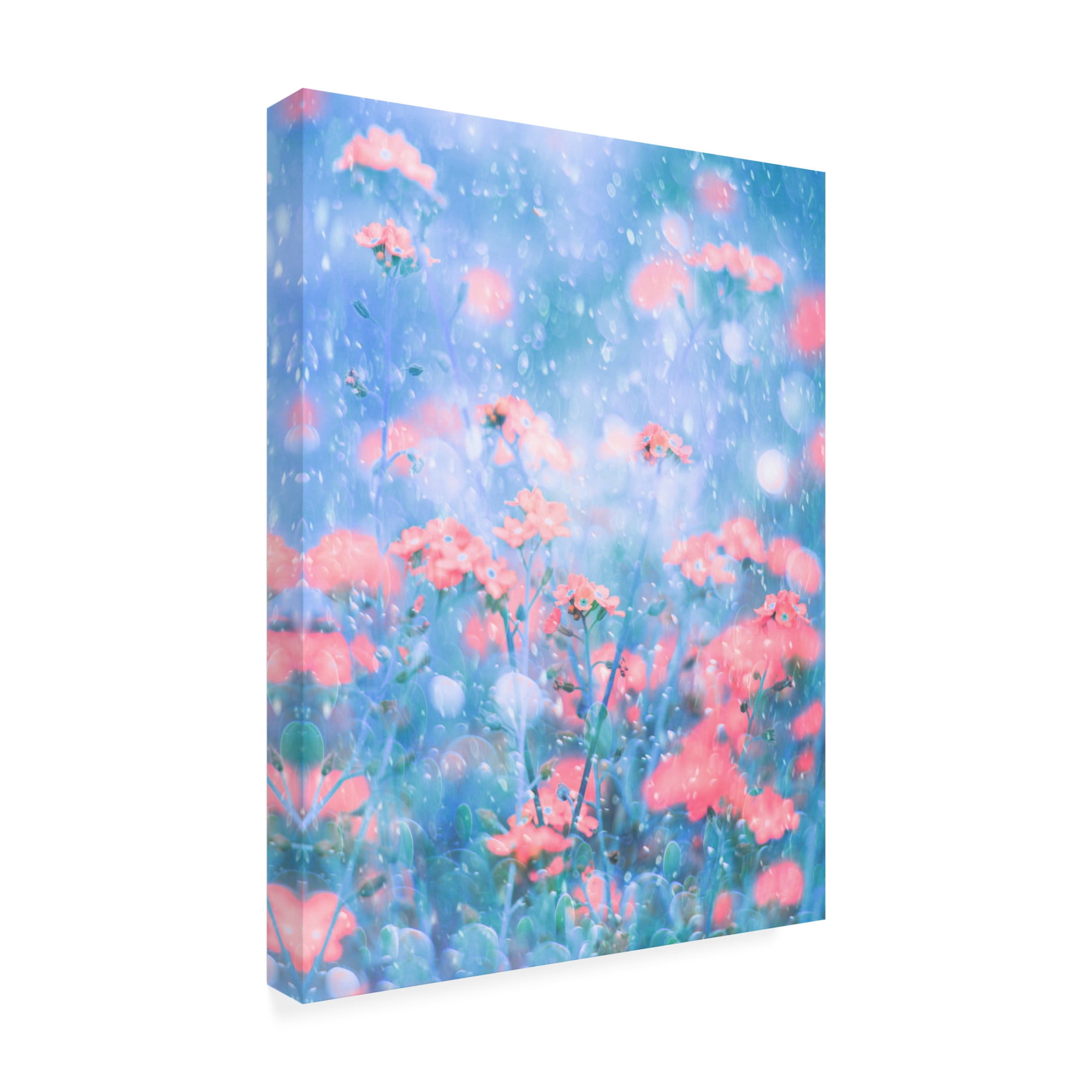 Canvas Wall Art - Delphine Devos 'A March Day' Wall Art for Living Room, Bedroom, or Office D?cor by Trademark Fine Art - 18 x 24 Inches