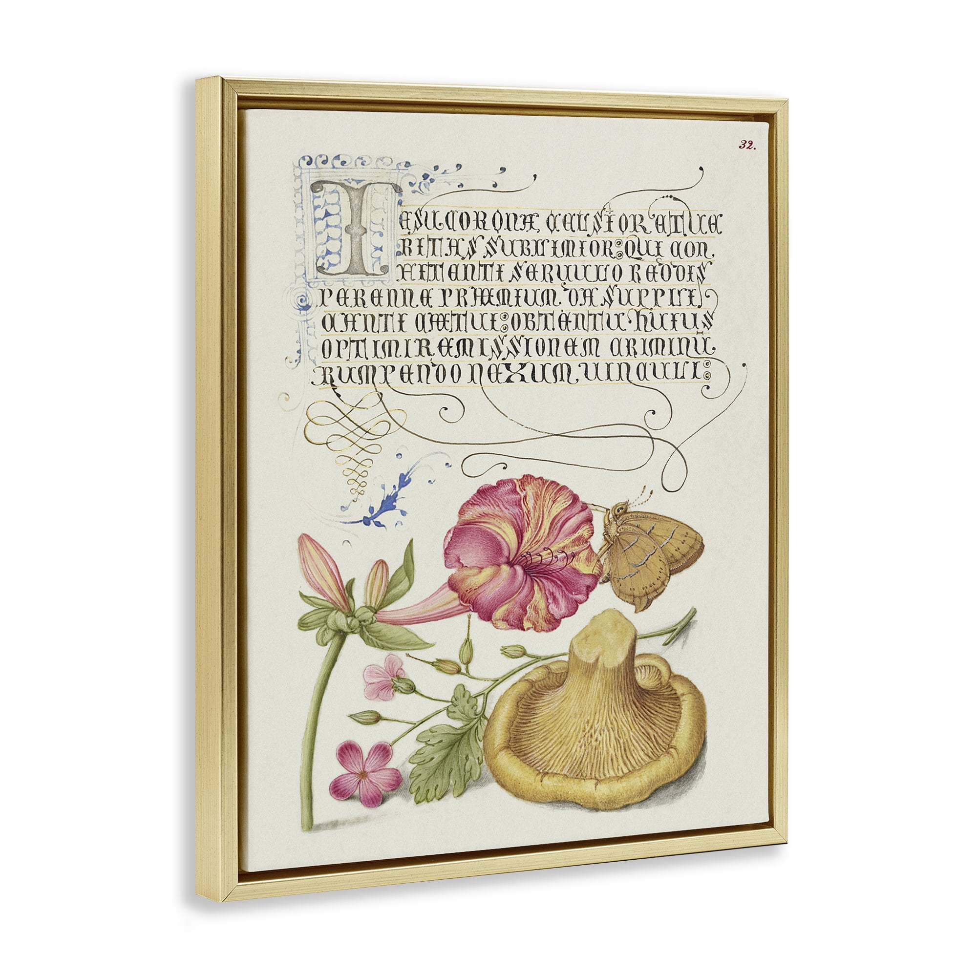 Stupell Industries Woodland Wildlife Study Text & Numbers Painting Gold Floater Framed Canvas Art Print Wall Art, 25 x 31