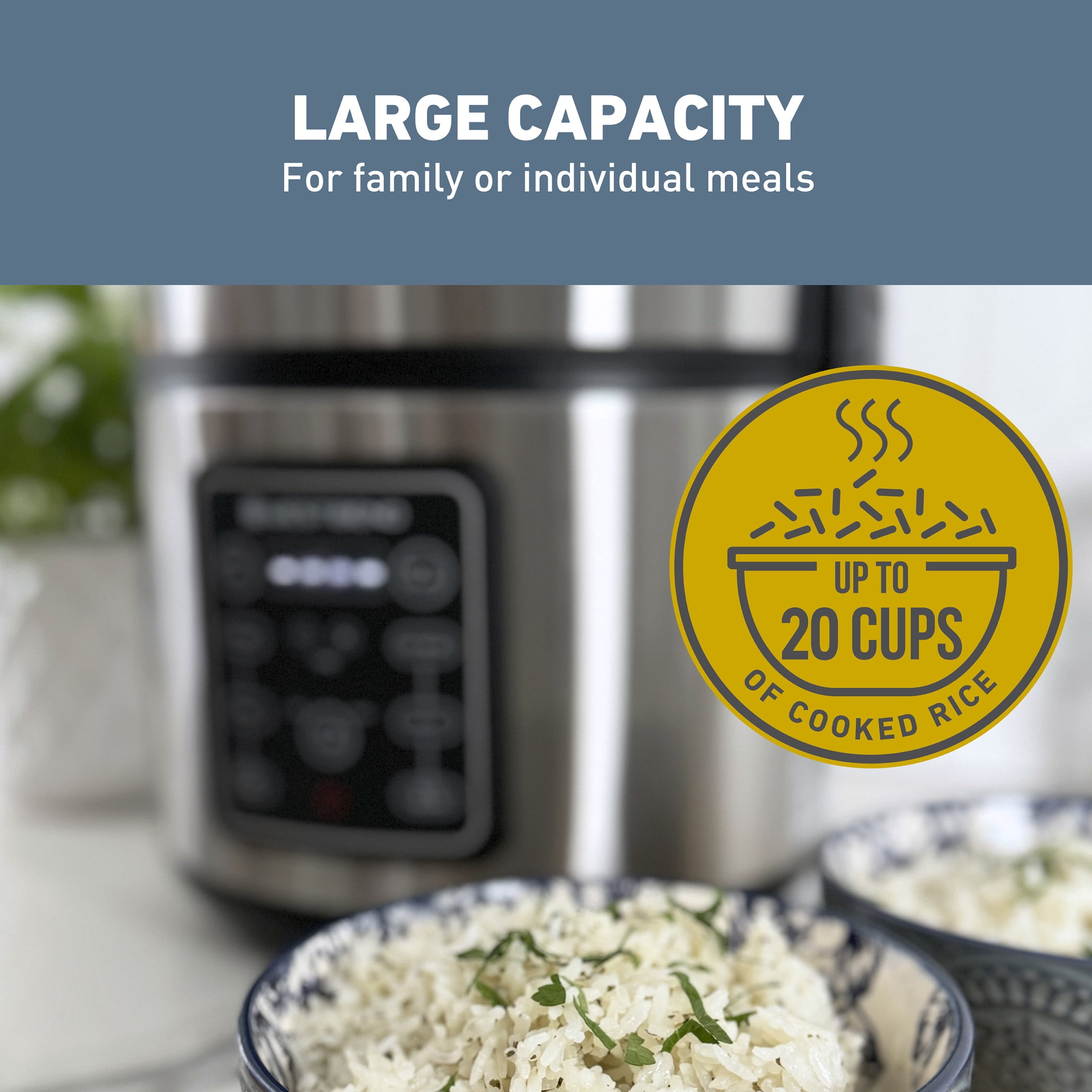 West Bend 20 Cup Multi-Function Rice Cooker, in Stainless Steel (RCWB20CSS13)