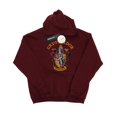 thumbnail image 1 of Harry Potter Mens Gryffindor Crest Hoodie, 1 of 3