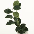 thumbnail image 4 of 1/ En s Modelo De Plantas Accesorios De Decoración De Jardín UNA Yotijar Plantas de miniaturas de casas de muñecas, 4 of 5