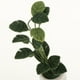 thumbnail image 5 of 2-6pcs 1:12 Casa De Muñecas Miniaturas Plantas De árboles En Macetas Brasiletto Adorno 4pcs 4 piezas Sunnimix Plantas de miniaturas de casa de muñecas, 5 of 8
