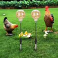 thumbnail image 1 of Toy de enriquecimiento de contenedores de alimentación de juguete de pollo 2x, juguete de liberación de alimentación lenta, para de aves de, 1 of 10
