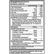 Pre Workout for Weight Loss - ENGN Shred Pre Workout Powder for Maximum Energy & Focus - Natural Caffeine from Coffee Bean & Green Tea Extract - Fat Burner Preworkout Supplement 30 Servings BlueRaz
