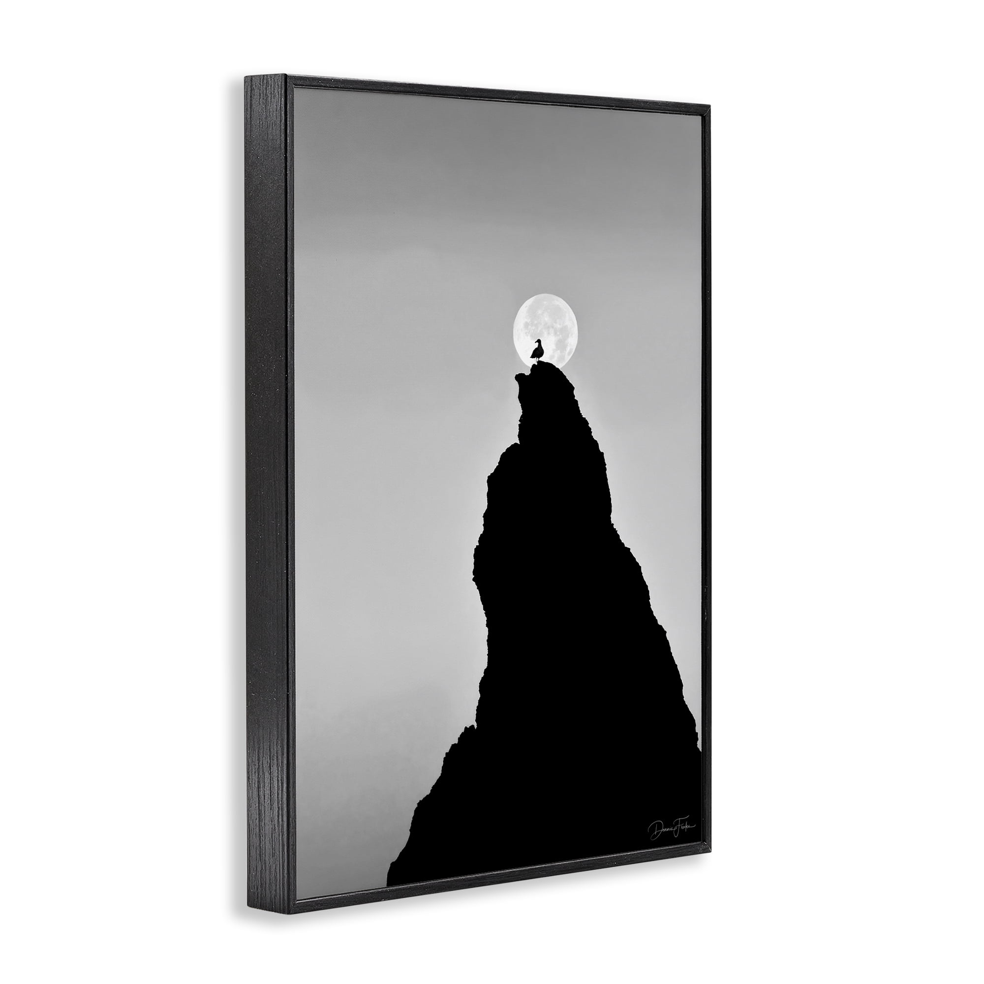 Stupell Industries Bird Silhouette on Peak Landscape Photography Black Framed Art Print Wall Art, 16 x 24