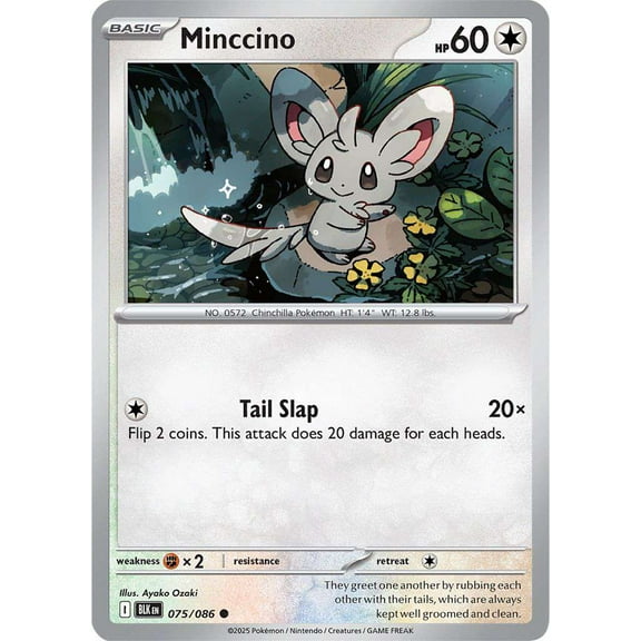 Pokemon Black Bolt Common Minccino #75