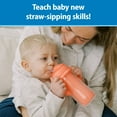 thumbnail image 2 of Dr. Brown's Milestones Insulated Sippy Cup with Straw and Handles, Pink, 10oz, 12m+, 2-Pack, 2 of 8