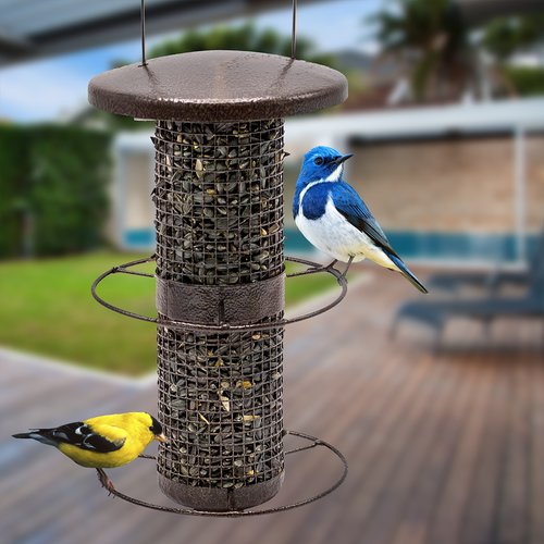 Sorbus Bird Feeder Circular Perch Hanging Feeder Finches Bird Seed