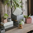 thumbnail image 2 of Cement Planter in Various Shape Colors and Sizes, 2 of 5