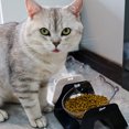 thumbnail image 5 of Bebedero para mascotas, pie alto, boca oblicua, protección de 15 °, columna cervical, catbowl transparente ajustable, 5 of 5