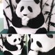 thumbnail image 4 of Adornos creativos modelos tallados en papel regalos artesanales culturales y creativos notas adhesivas notas adhesivas tridimensionales panda (Estilo A) [Panda - Versión en inglés], 4 of 9