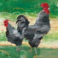 thumbnail image 2 of Harper, Ethan 20x20 White Modern Wood Framed Museum Art Print Titled - Black Rooster and Hen I, 2 of 4