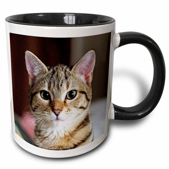 3drose, Hello Kitty - Animal, Moggie, Tabbies, Tabby Cat, Cat, Cats, Cute, 15oz Two-tone Black Mug