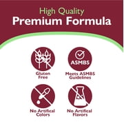 Celebrate Vitamins 4-in-1 Bariatric Multivitamin with Calcium Protein Shake, Chocolate, 20 oz. tub
