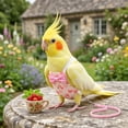 thumbnail image 5 of OCCOA Conure Flight Suit Bird Diaper with Poop Pocket for Budgie Cockatiel Peachface Parakeet Outdoor Clothes, White, 5 of 6