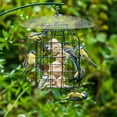 thumbnail image 6 of BESTOYARD Plastic Bird Feeder Rain Cover with Iron Hook Large Squirrel Baffle for Outdoor Bird Feeders, 6 of 8