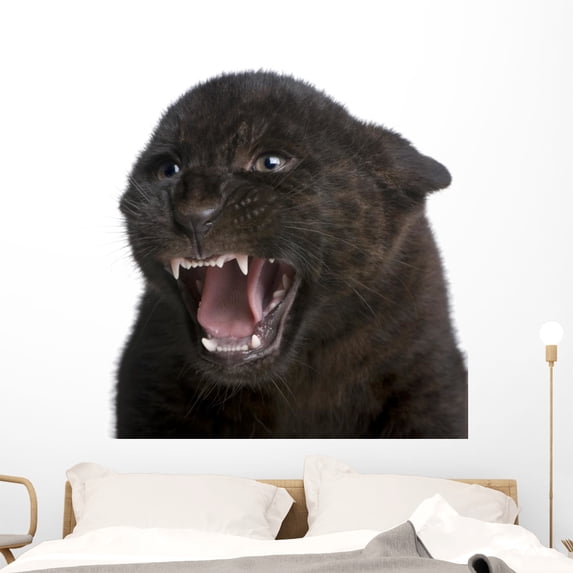 Jaguar Wall Decal Wallmonkeys Peel and Stick Animal Graphics (48 in W x 46 in H) WM503010