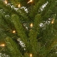 thumbnail image 5 of National Tree Company 4 ft. Pre-Lit Artificial Lehigh Valley Pine Christmas Entrance Trees, Clear Lights, Set of Two, Includes Lighted Base, 5 of 6