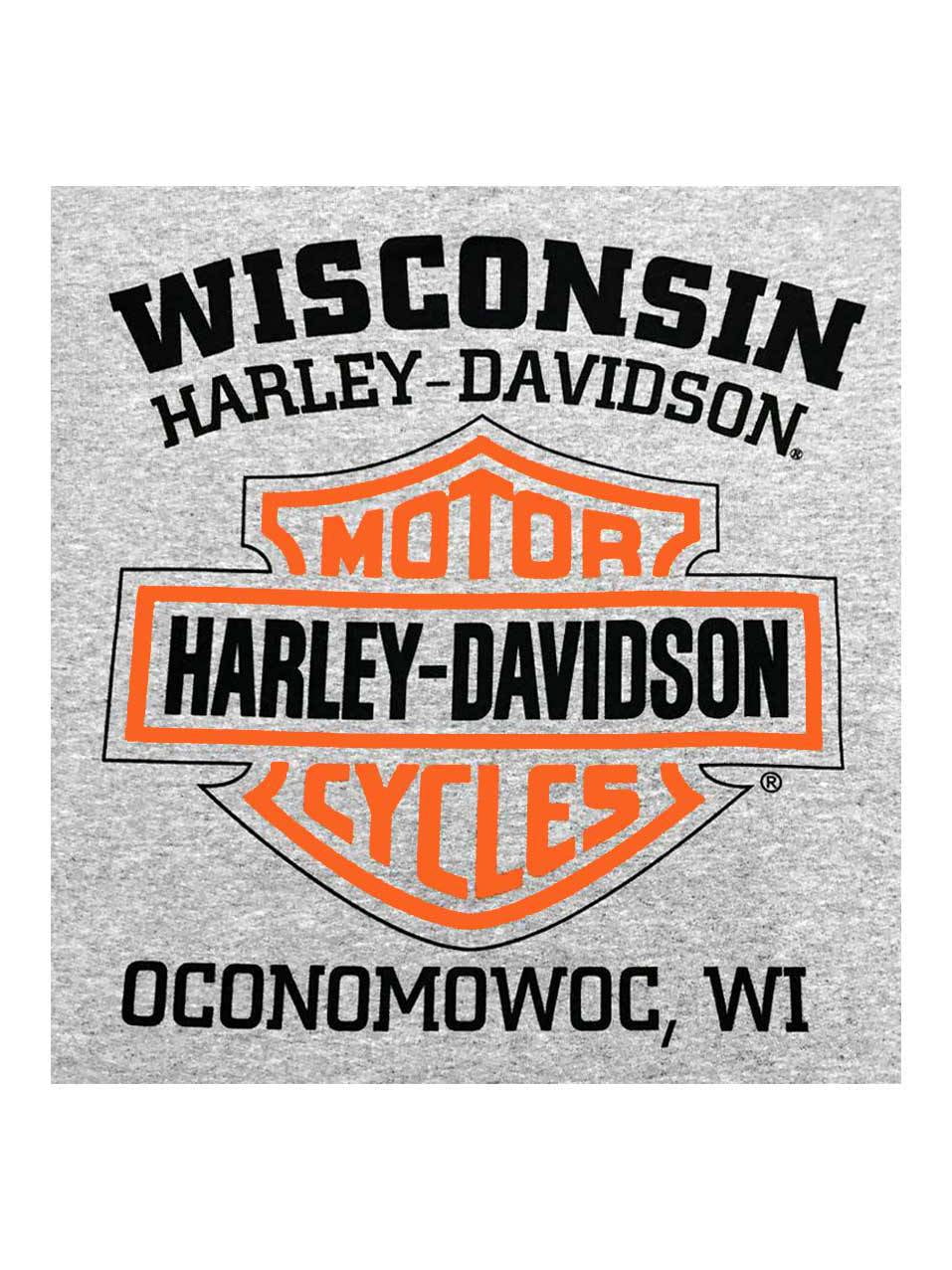 Gray 30296651 Willie G Skull Long Sleeve Tee Harley-Davidson Mens Shirt