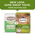 thumbnail image 3 of Rachael Ray Nutrish Dry Cat Food, Chicken & Brown Rice Recipe, 3 Lb. Bag, 3 of 12