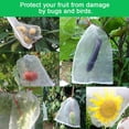 thumbnail image 5 of Jinsinto 50 PCS Fruit Protection Bag Mesh Bag Against Insects Plant Protection Bag with Drawstring Anti-Insect Mesh Bags Insect Bag 20*30cm for Grapes, Apples, Birds, 5 of 5