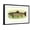 Black Frame, variant on Art.com Eastern Brook Trout Stretched Canvas Print Wall Art, 18" x 12"