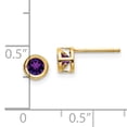 thumbnail image 2 of 14K Yellow Gold 4mm Bezel February/Amethyst Post Earrings, 2 of 2