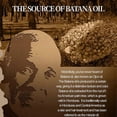 thumbnail image 3 of Aceite de batana orgánico puro sin refinar para estimular el crecimiento del cabello, controlar el encrespamiento y dar brillo, 1 unidad., 3 of 5