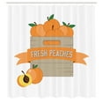 thumbnail image 3 of Ambesonne Peach Shower Curtain, Fresh Ripe Fruits in a Box, 69"Wx70"L, Apricot Dusk and White, 3 of 5