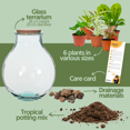 thumbnail image 2 of Boris le Terrarium / L, 2 of 7
