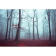 thumbnail image 3 of Wuestenhagen, Dirk 18x13 Black Modern Framed Museum Art Print Titled - Solstice in Fog, 3 of 5
