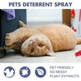thumbnail image 2 of QARUN Anti Cat Scratch Spray, Cat Deterrent, Fast Acting Anti Scratch Spray, 100% Pet-Safe Formula for Behavior Training and Afurniture Protecting, 2 of 7