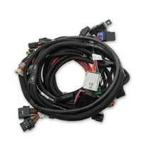 Holley EFI 558-122 Engine Wiring Harness