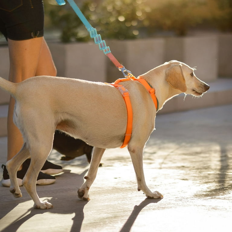 4 Pcs Snap Hooks Heavy Duty Dog Chain Leash Pet Buckle Eye Clasp Flag Pole  Accessories Rotating Snaps 