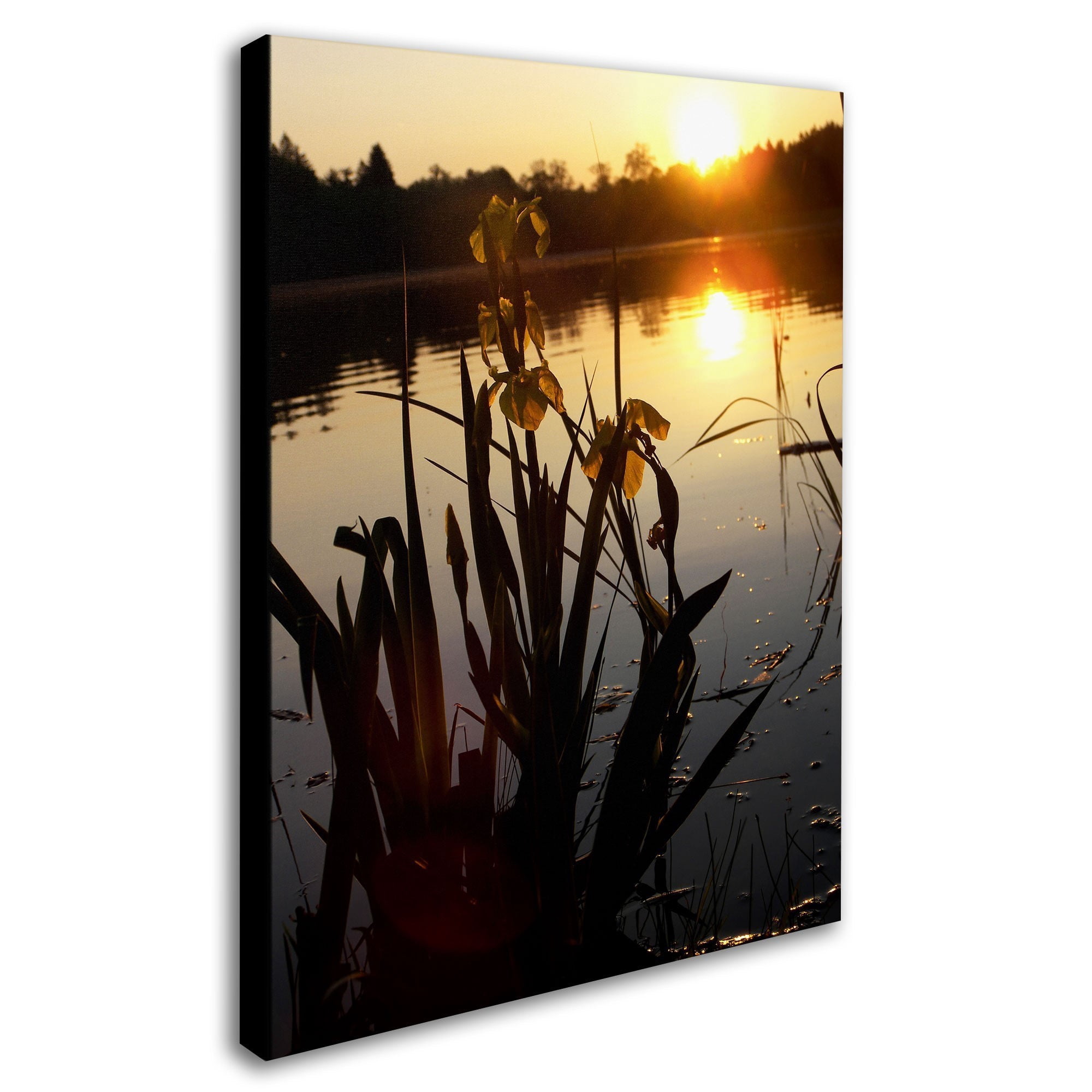 Trademark Fine Art "Reflective Strength" Canvas Art by Monica Fleet