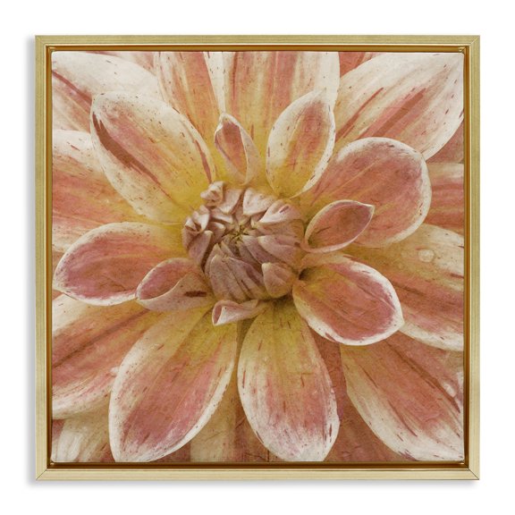 Stupell Industries Contemporary Blooming Petals Close Up Gold Floating Frame Canvas Art, 18 x 18, by Alonzo Saunders