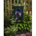 thumbnail image 2 of Carolines Treasures SS8076GF Pomeranian Flag - Garden Size, 2 of 3