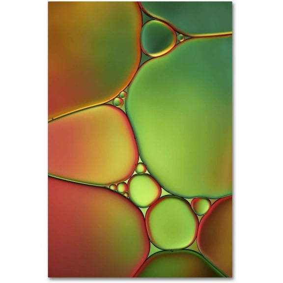 Trademark Fine Art 'Stained Glass II' Canvas Art by Cora Niele