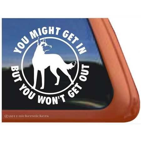 You Might Get In, But You Won't Get Out | Belgian Malinois Vinyl Guard Dog Window